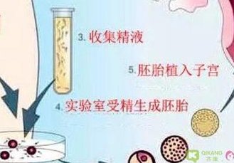 广州做试管的具体费用是多少？广东试管的成功率和费用细节！