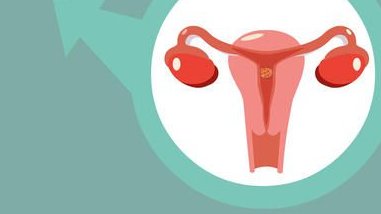 杭州市妇产科医院做试管婴儿要多少钱？(2026杭州费用参考)