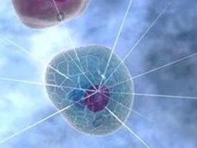 喝豆浆对试管婴儿有益吗？这四类人不适合喝豆浆