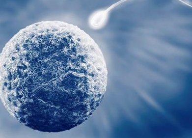 在RFG做试管婴儿，如何保证胚胎的生长与发育？