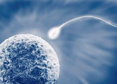 2026年九江试管婴儿医院推荐及费用详解